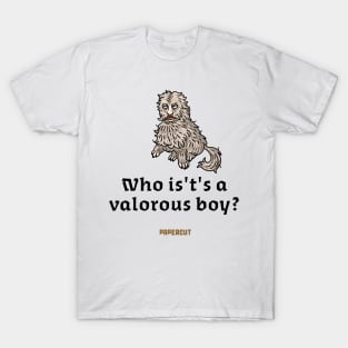 A Valorous Boy T-Shirt